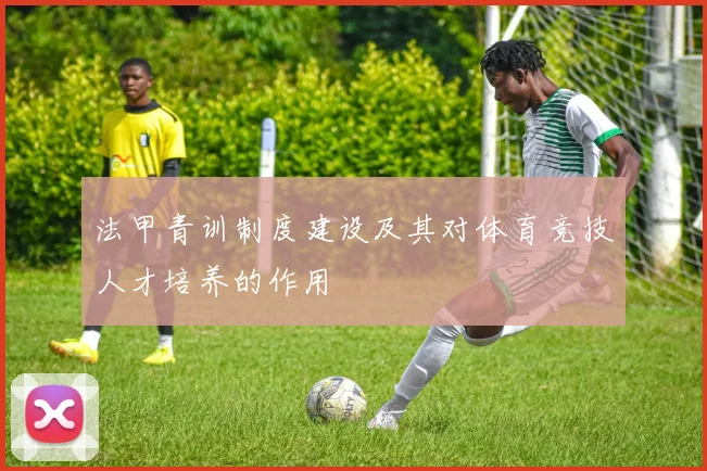 法甲青训制度建设及其对体育竞技人才培养的作用